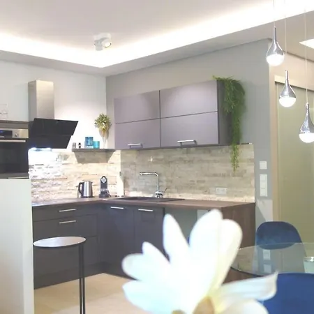 Apartment P1 Studio *
