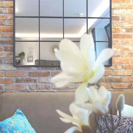 Apartment P1 Studio *