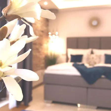 Apartment P1 Studio *